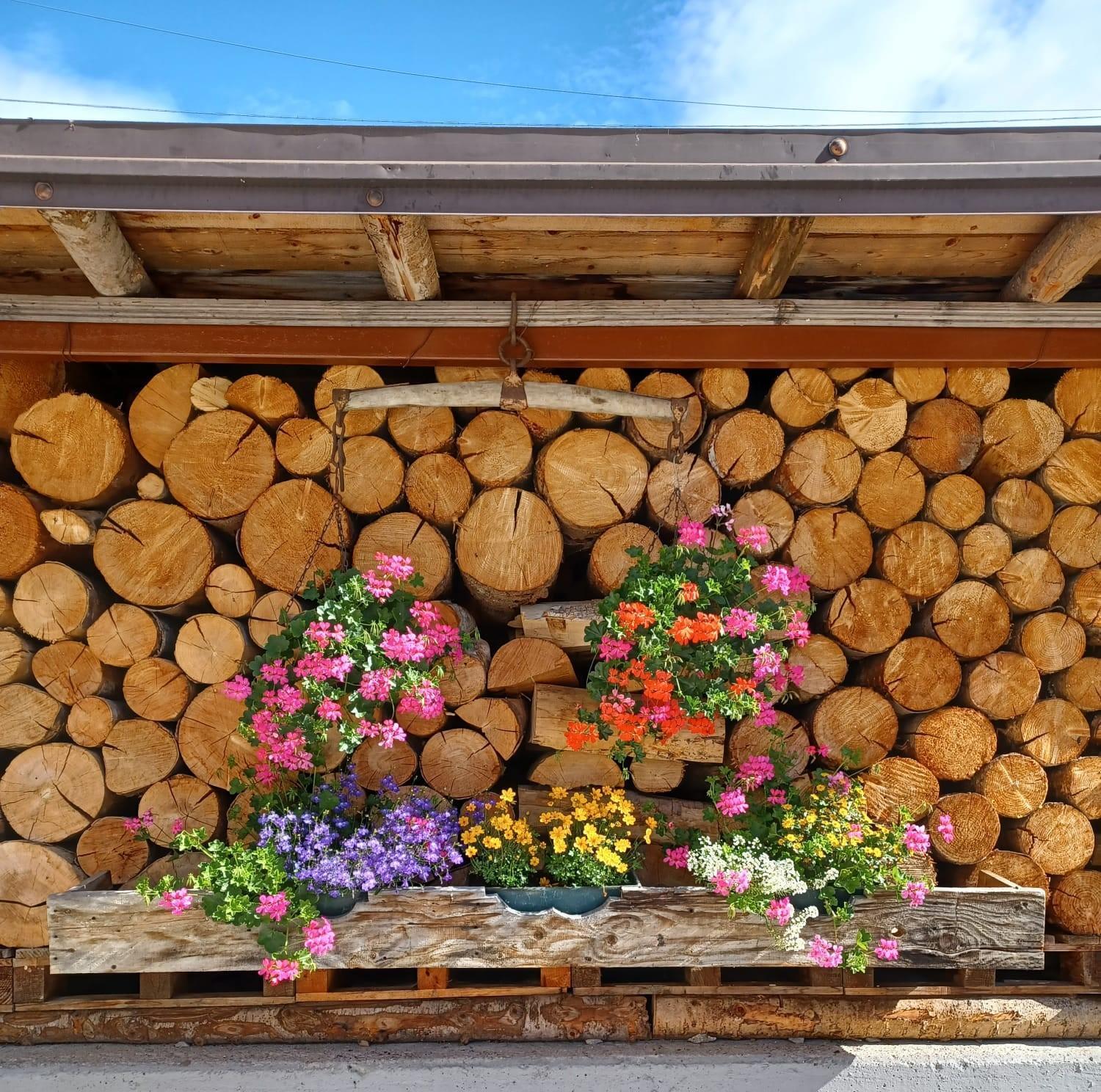 Locanda Da Pierina Santo Stefano Di Cadore Eksteriør billede