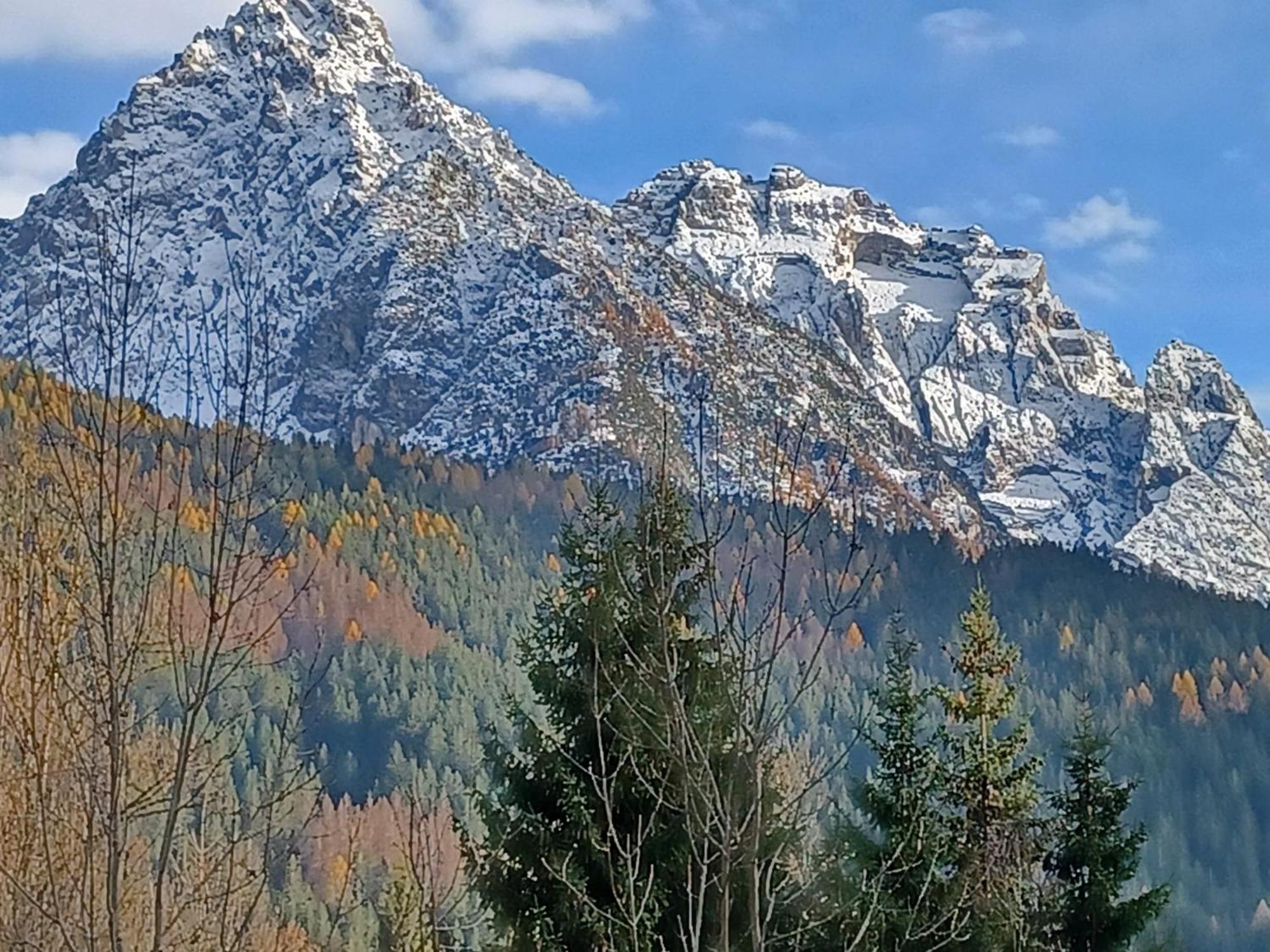 Locanda Da Pierina Santo Stefano Di Cadore Eksteriør billede